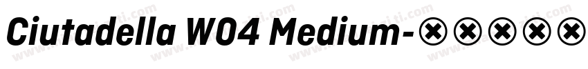 Ciutadella W04 Medium字体转换
